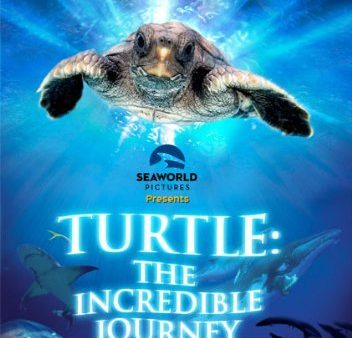 TURTLE: THE INCREDIBLE JOURNEY Supply