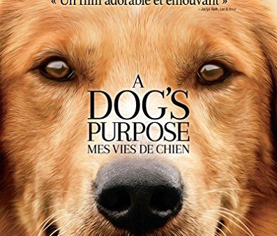 A DOG S PURPOSE [BLU-RAY + DVD + DIGITAL HD] (BILINGUAL) For Cheap