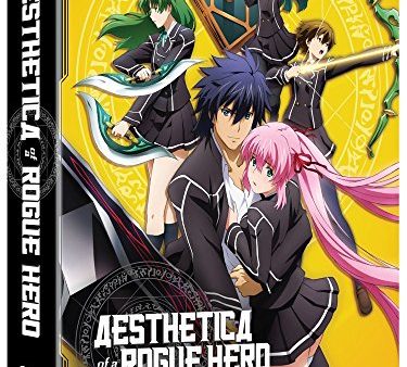 AESTHETICA OF A ROGUE HERO: THE COMPLETE SERIES (S.A.V.E.) Cheap